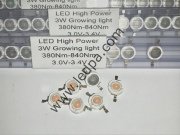 3W GROW LED-3W BİTKİ LEDİ -GROWING LED
