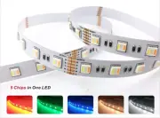RGB+CCT 24v LED  , 10mt fiyatıdır (rulo). Şerit Işıklar Serisi RGBCCT LED Şerit , 5 IN 1 RGBCCT 60LEDs LED Şerit Işık